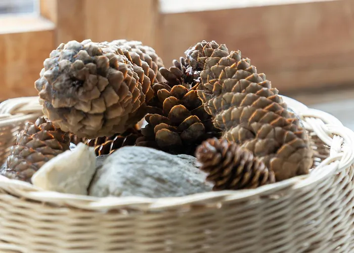 Chesa-strimer - Veranda La Punt-Chamues-ch